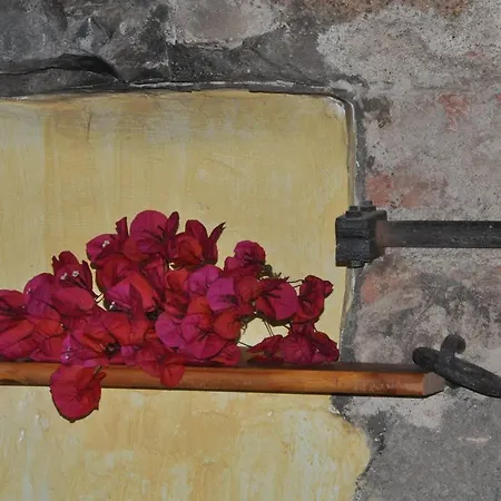 Can Masferrer * Riudarenes