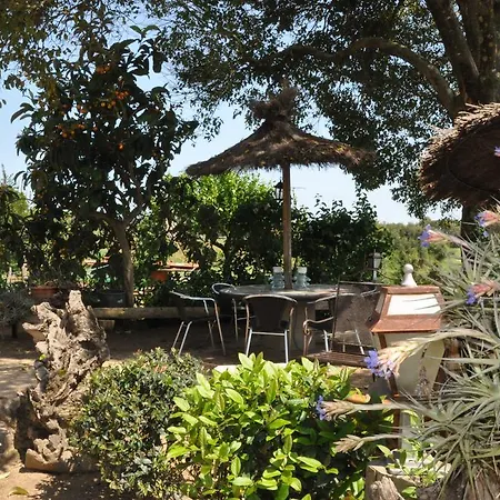 Can Masferrer Apartment